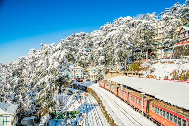 Shimla Tour