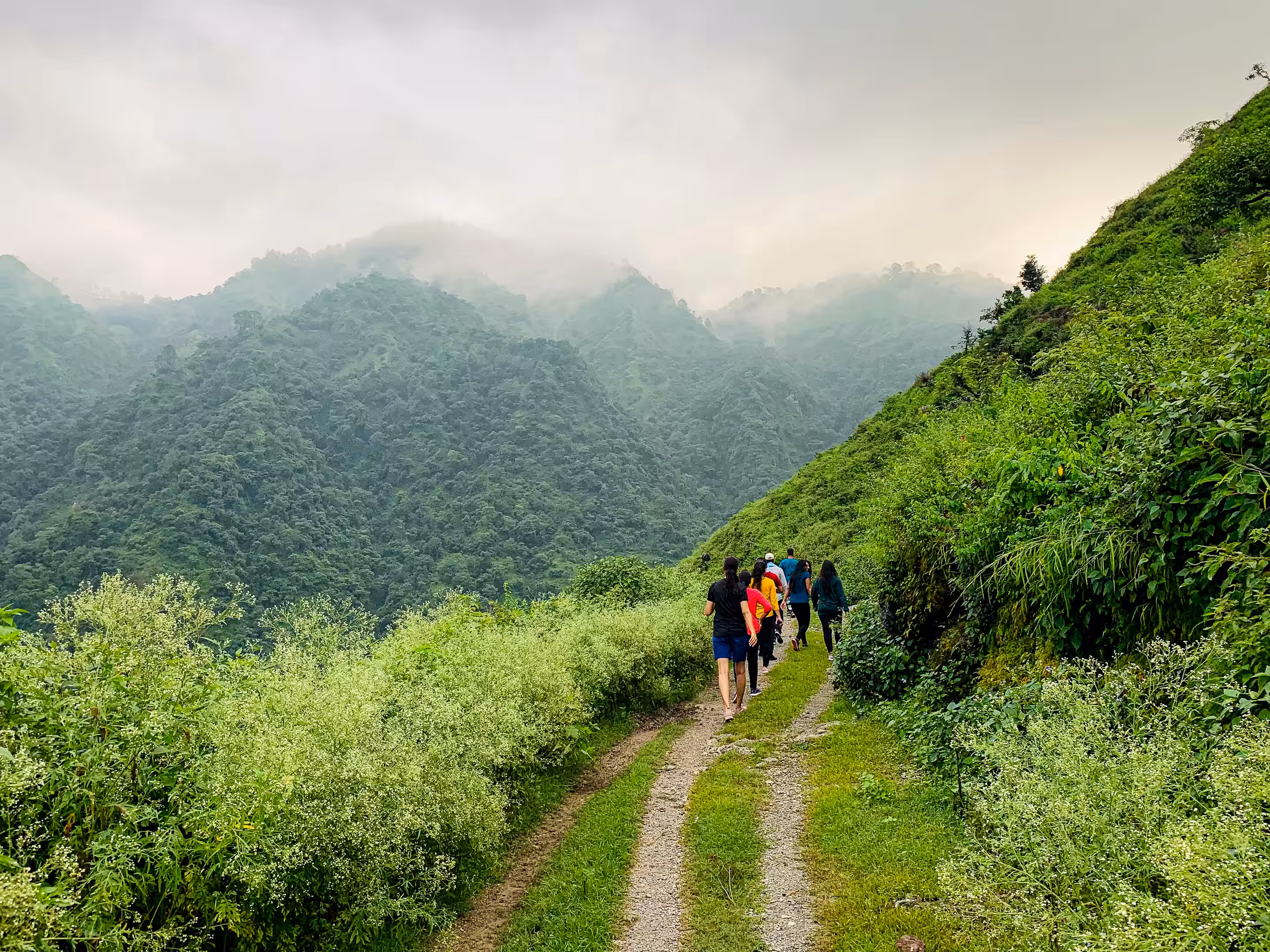 Auli Skiing Adventure