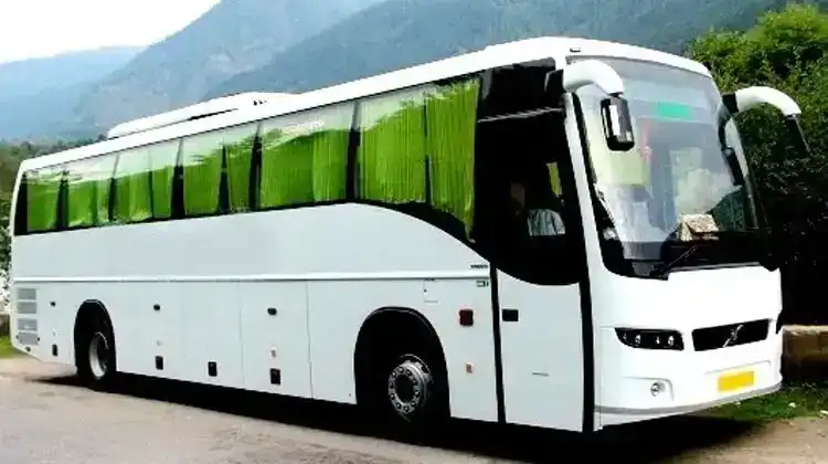 White luxury tour bus parked on a scenic mountain road